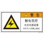 SLE-258