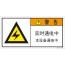 SLE-259