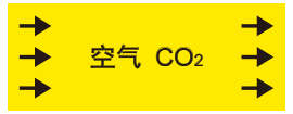 SLCO-203