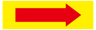 SLCO-219