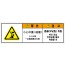 SCLS-489